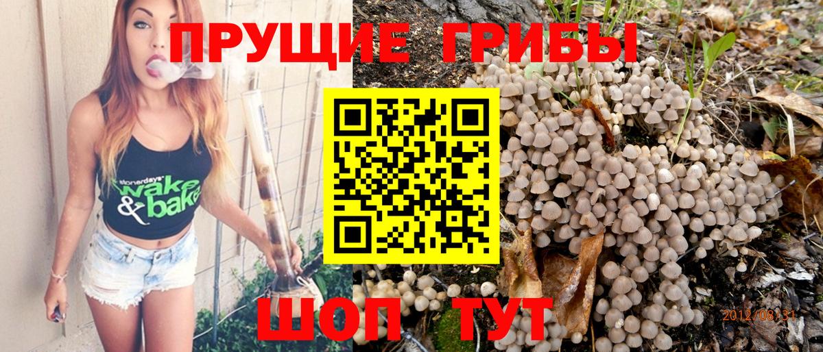 Галлюциногенные грибы Cubensis Нурлат