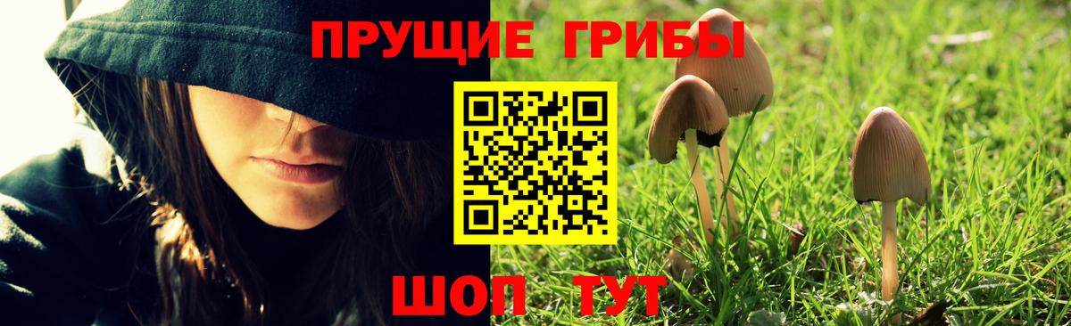 Нурлат  Псилоцибиновые грибы мицелий  Вход с VPN  Псилоцибиновые грибы Psilocybe 